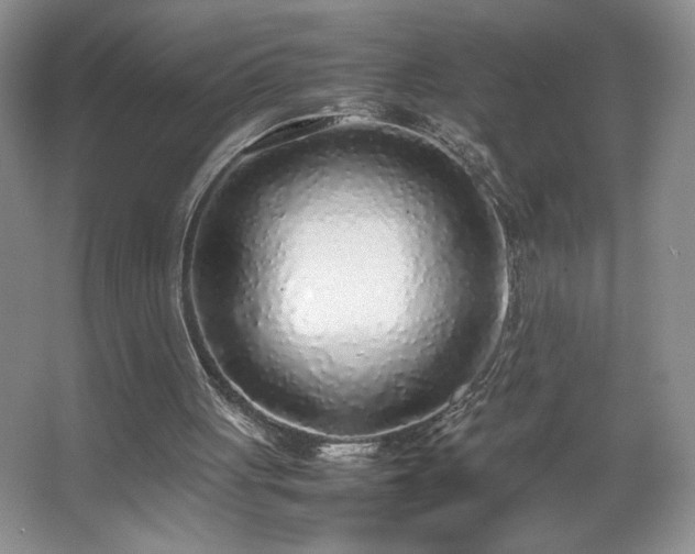 X0000067340051200603311136
