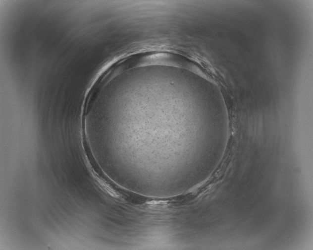 X0000067340052200603311136