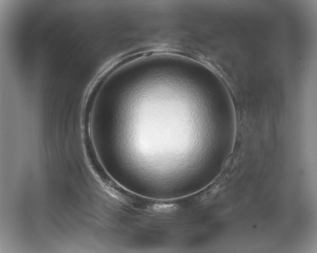 X0000067340055200603311137