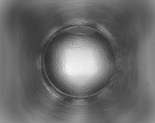 X0000067340058200603311137