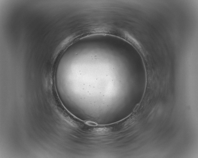 X0000067340059200603311137