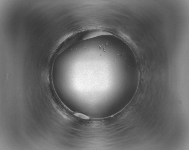 X0000067340060200603311137