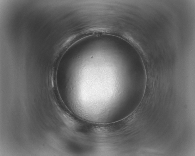 X0000067340062200603311137
