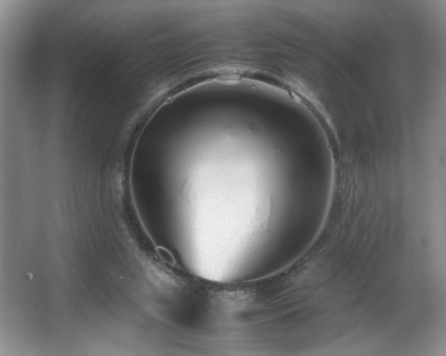 X0000067340063200603311137