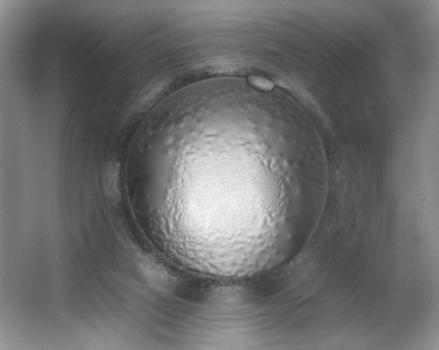 X0000067340066200603311137