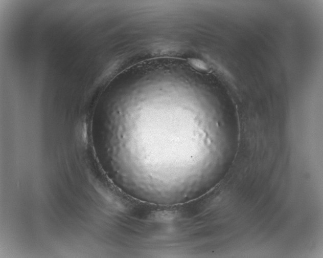 X0000067340067200603311137