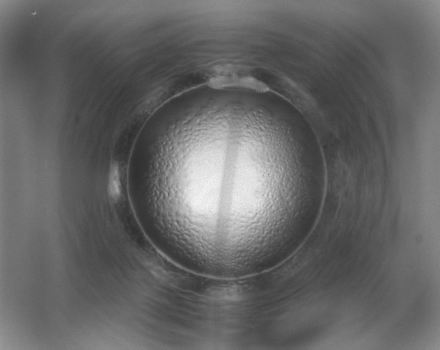 X0000067340075200603311137