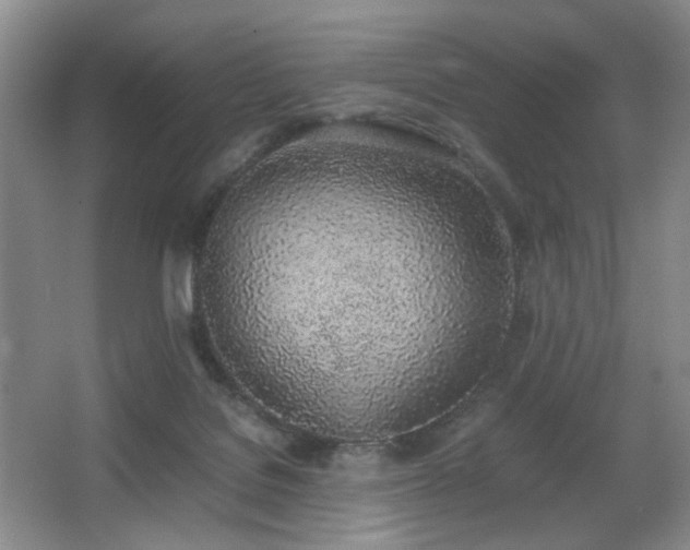 X0000067340076200603311137
