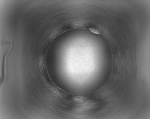 X0000067340079200603311137