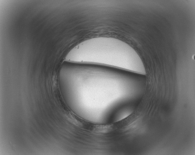 X0000067340081200603311137