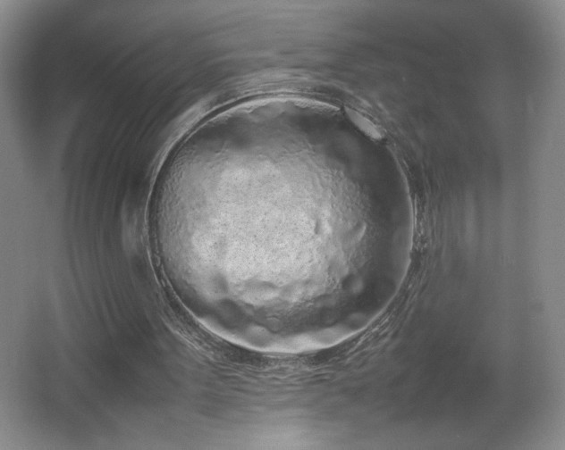 X0000067340099200603311136