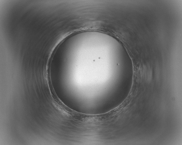 X0000067340100200603311136