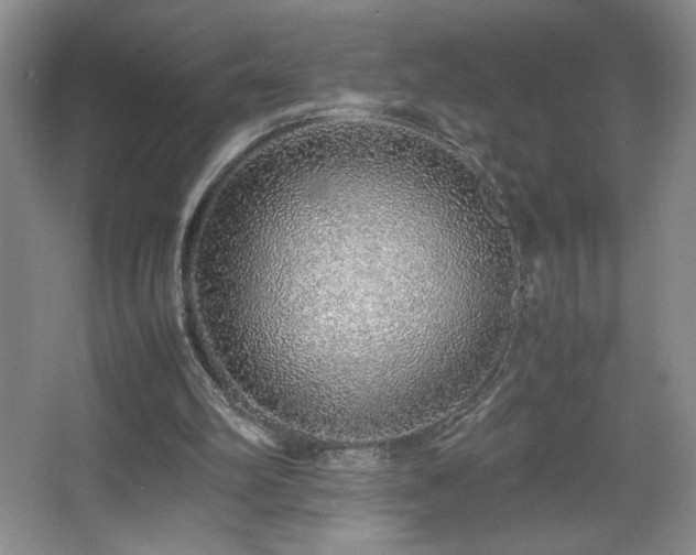 X0000067340102200603311136