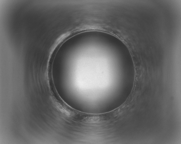X0000067340104200603311136