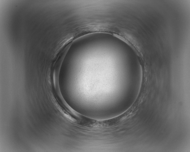 X0000067340105200603311136