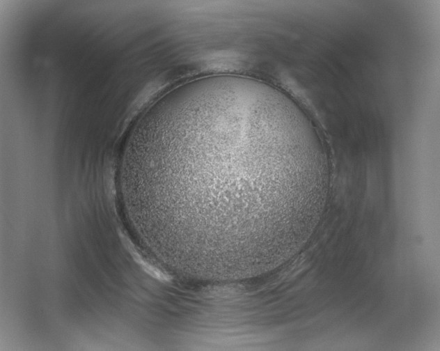 X0000067340106200603311136