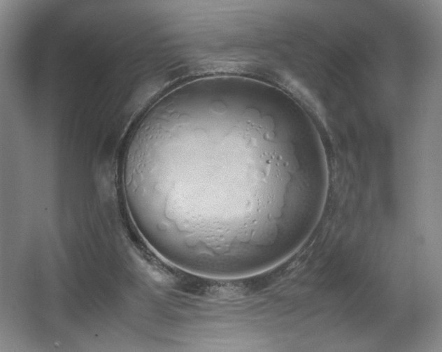 X0000067340107200603311136