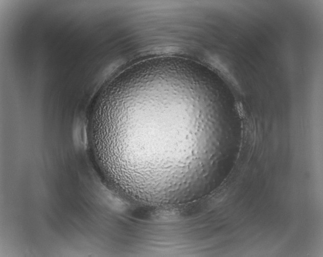 X0000067340110200603311136