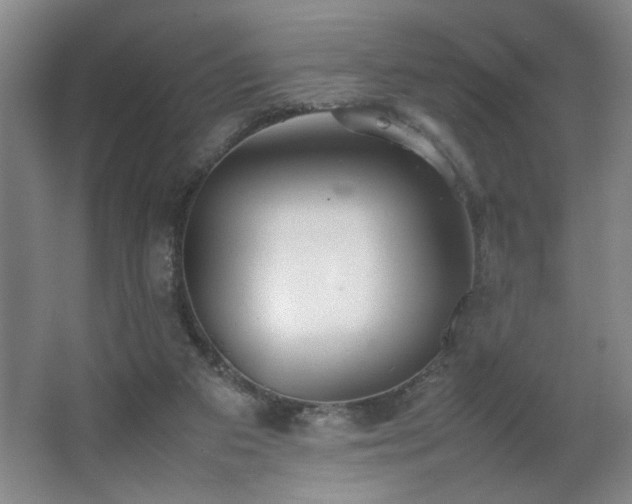 X0000067340113200603311136