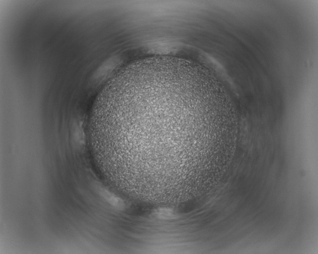 X0000067340114200603311136