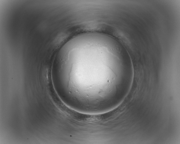 X0000067340115200603311136