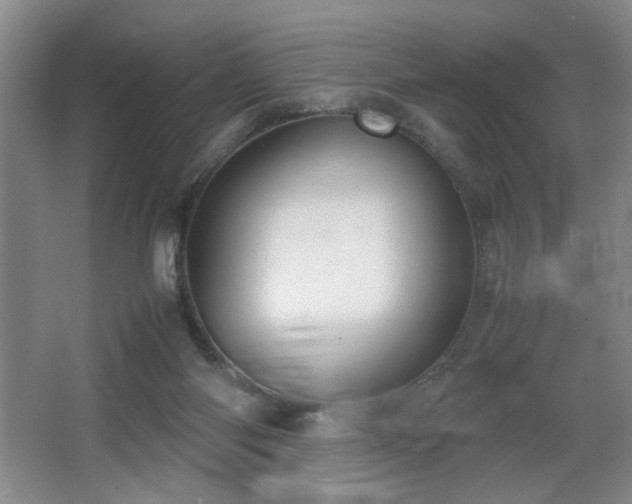 X0000067340118200603311136