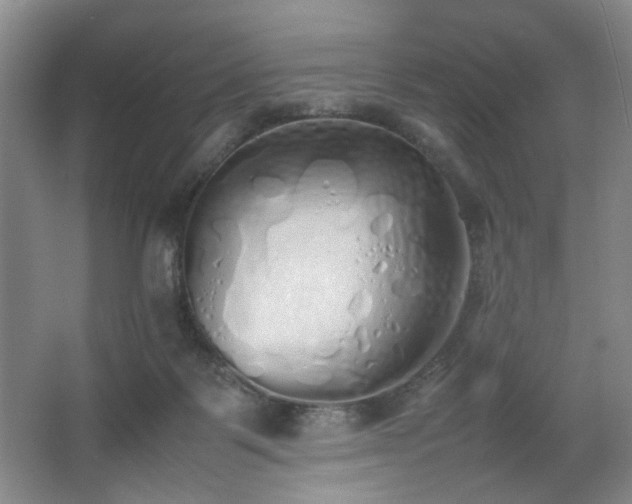 X0000067340123200603311136
