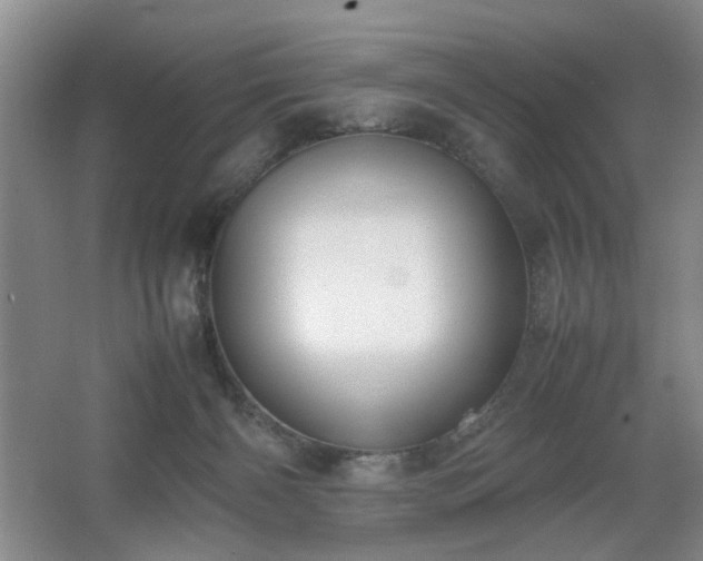 X0000067340126200603311136