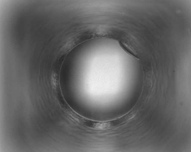 X0000067340135200603311136
