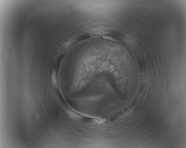 X0000067340143200603311136