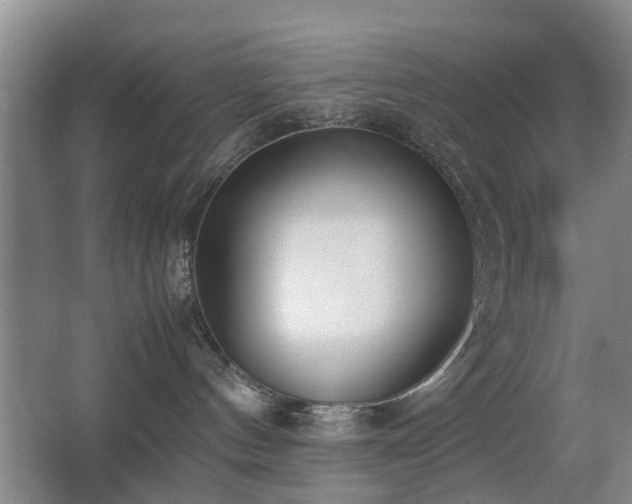 X0000067340144200603311136