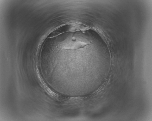 X0000067340145200603311135