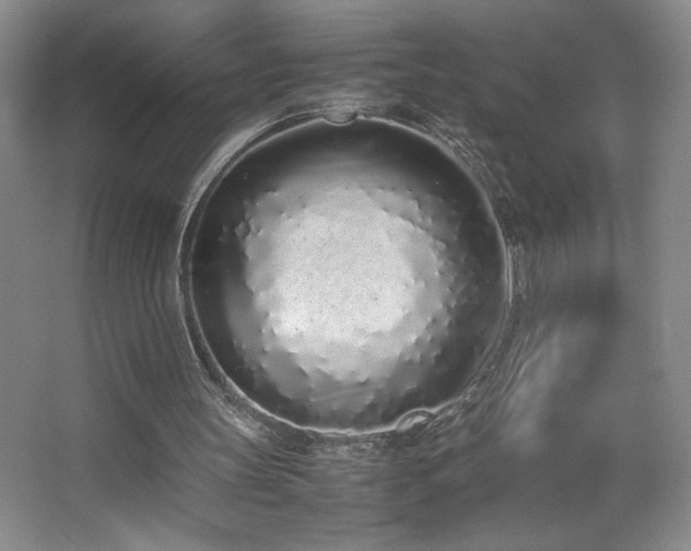 X0000067340147200603311135