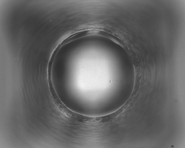 X0000067340148200603311135