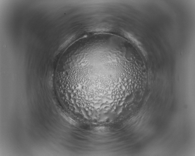 X0000067340153200603311135