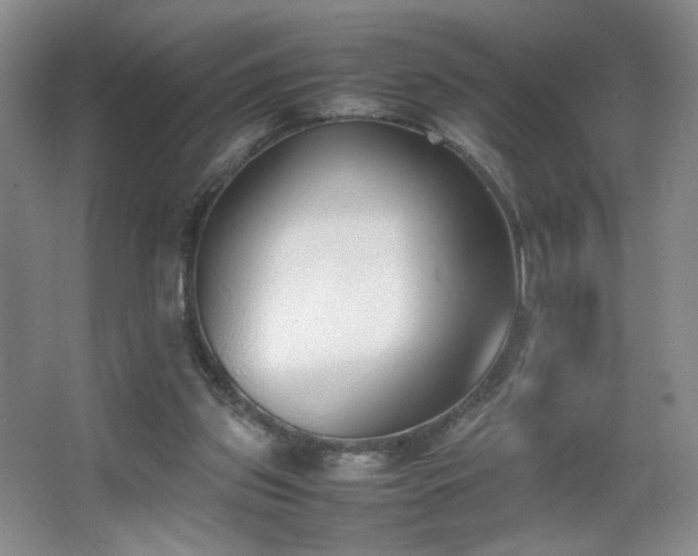 X0000067340157200603311135