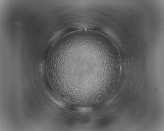 X0000067340165200603311135