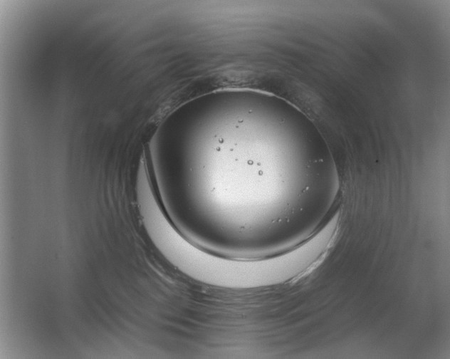 X0000067340186200603311136