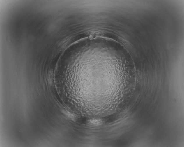 X0000067340189200603311136