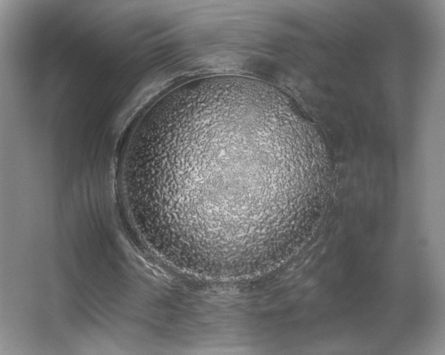 X0000067340194200603311135