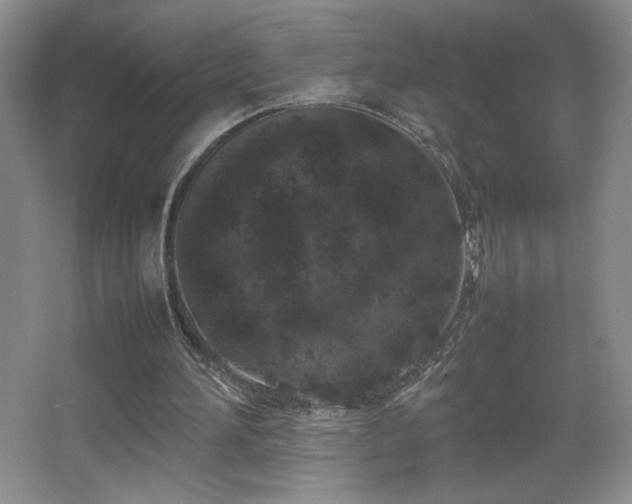 X0000067340196200603311135