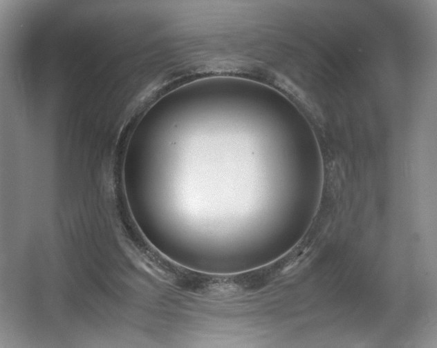 X0000067340203200603311135