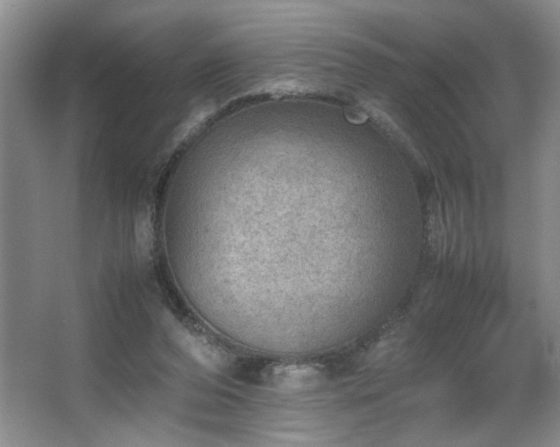 X0000067340208200603311135