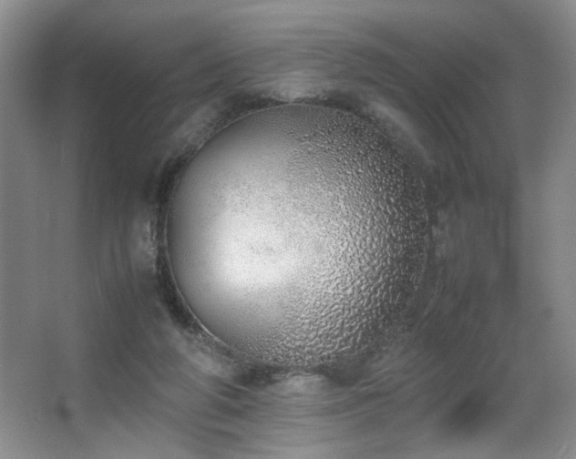 X0000067340210200603311135