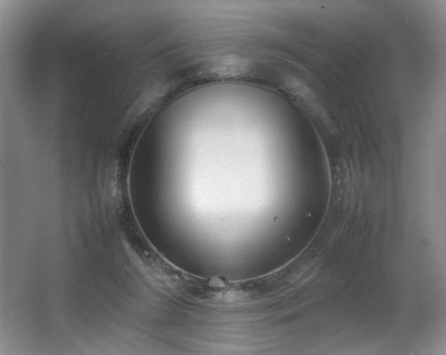 X0000067340212200603311134