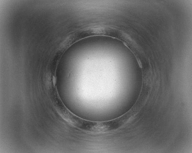 X0000067340213200603311134