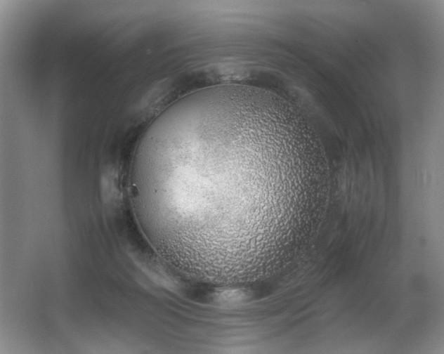X0000067340218200603311134