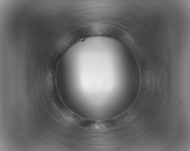 X0000067340220200603311134