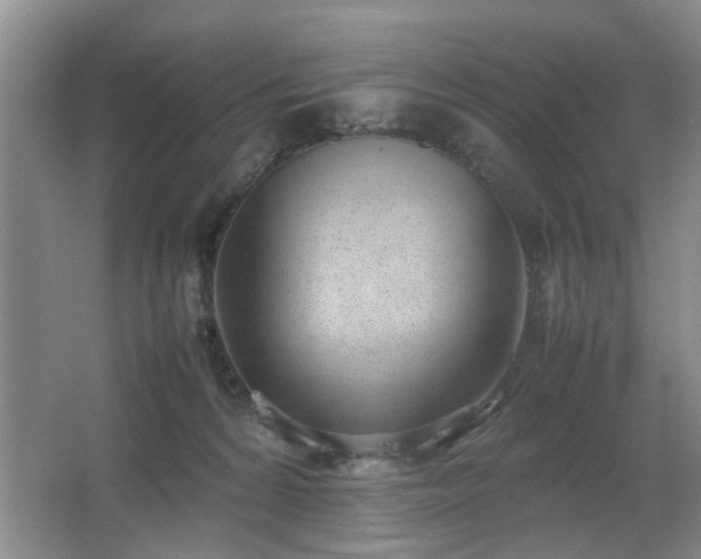 X0000067340224200603311134