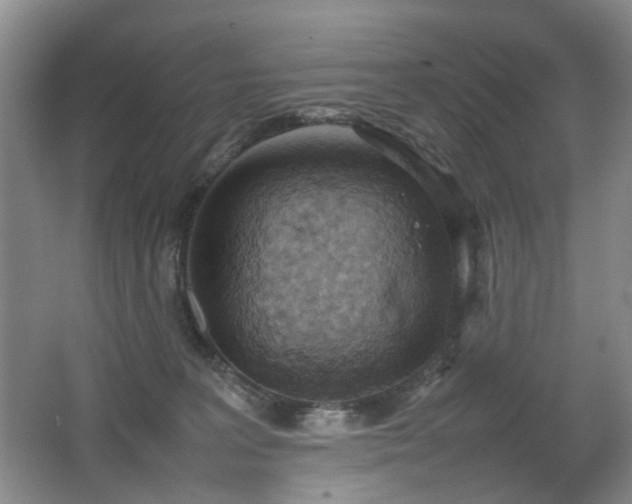 X0000067340227200603311134